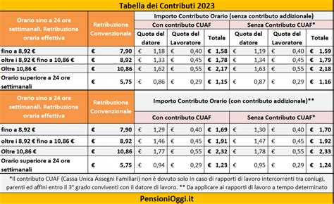 paga oraria colf in nero 2023|calcolo contributi colf 2023.